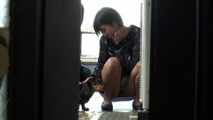 早漏草食系ダンナの目を盗んで僕をチ○ポペット「性玩具」としてこっそり飼う変態新婚妻 湊莉久 ｜h_900diy00034