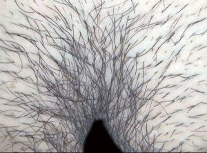 300人のまん毛3 ｜gat00024