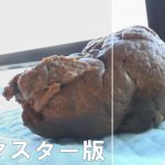 【AIリマスター版】神戸極太うんち 密着4日間5脱糞 ｜433rai00002