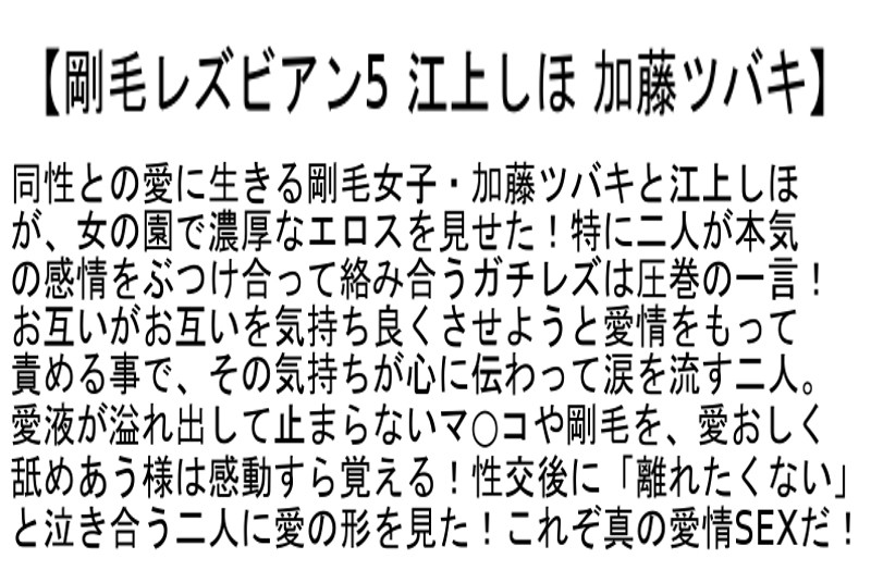 【お得セット】剛毛レズビアン 水原さな 羽月希 江上しほ 加藤ツバキ 浜崎真緒 竹内梨恵 ｜stcetd00010
