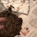 大便見られたい盛りのお下劣主婦 ｜odv00259