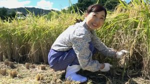 日本全国津々浦々探してきました田舎のエロいおばちゃん100人8時間 ｜84hyas00124