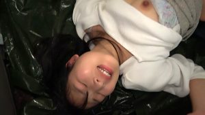 理性を失った男の欲望！誰も助けてくれない！キッチンカーで繰り広げられる数々の悲劇！勝手に中出しセックスされた私の非日常…。 ｜h_1724u013i00002