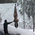 ○縛妻 極寒雪○め ｜86axdvd00508