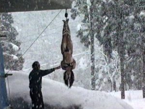 ○縛妻 極寒雪○め |86axdvd00508